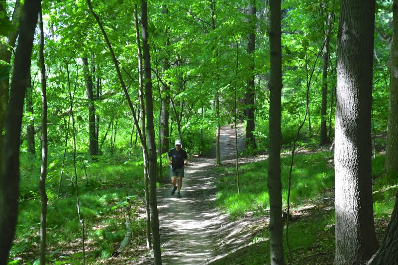 Luton Park Mountain Biking Trails